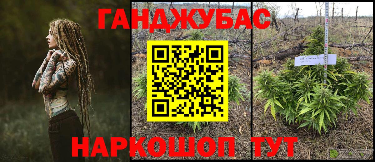 Бошки марихуана марихуана Боровичи